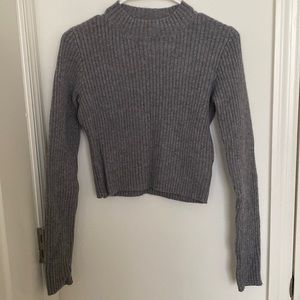 Brandy Melville Gray Ribbed Cropped Sweater